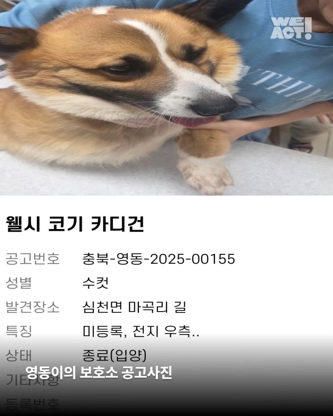 상세 사진 2