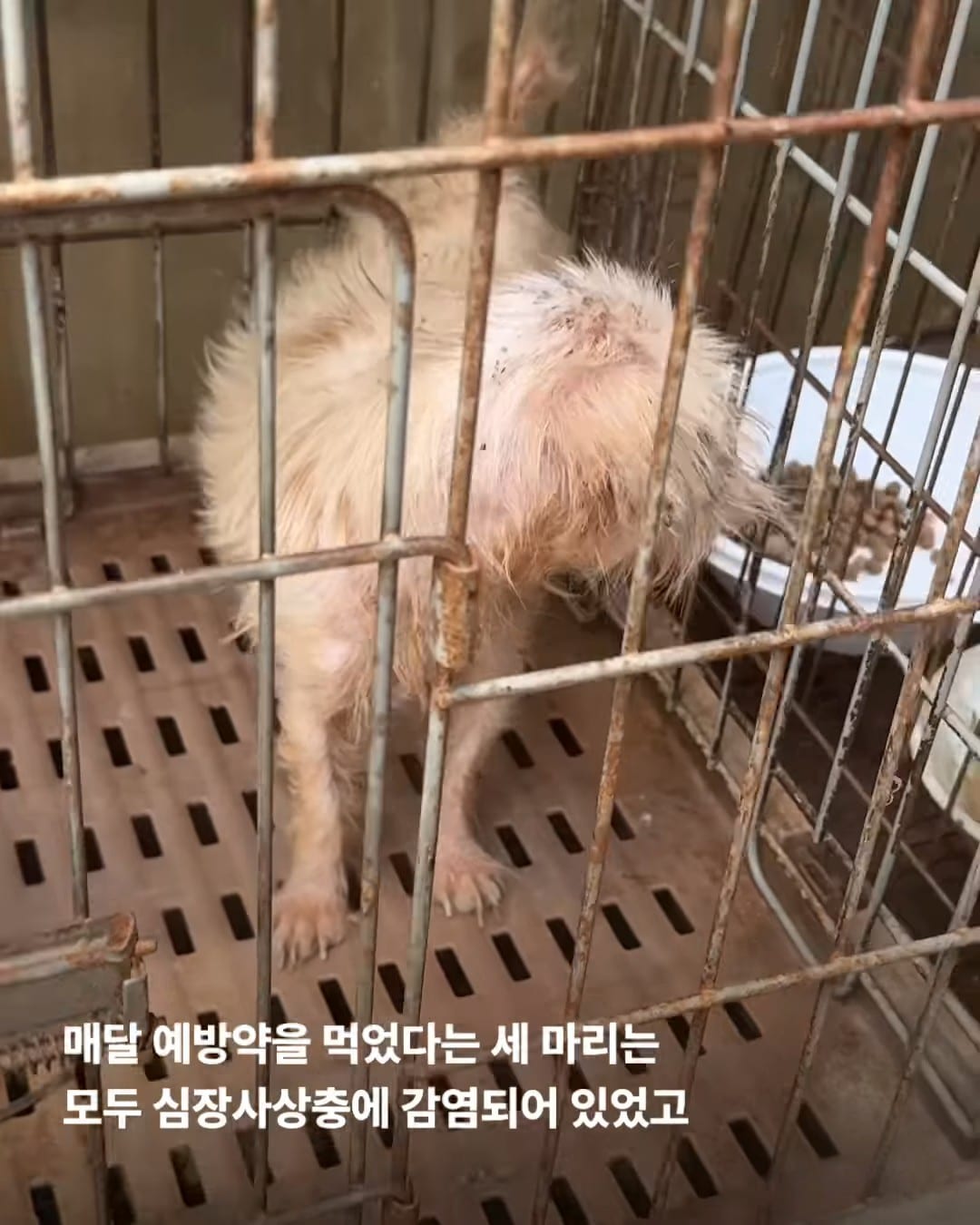 상세 사진 8