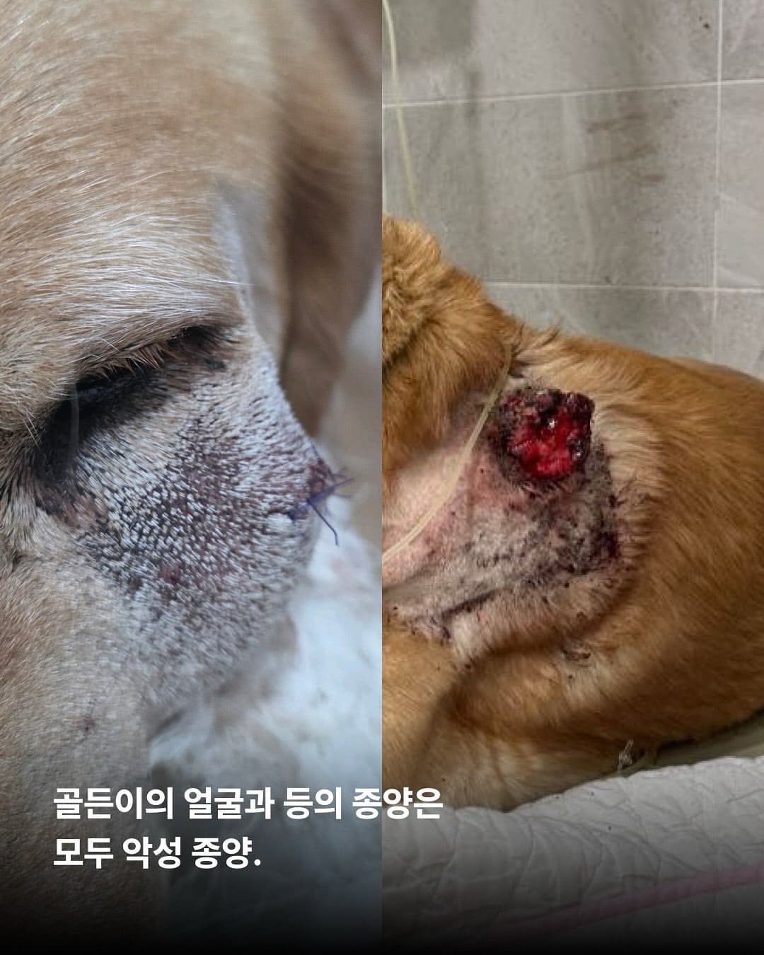 상세 사진 2