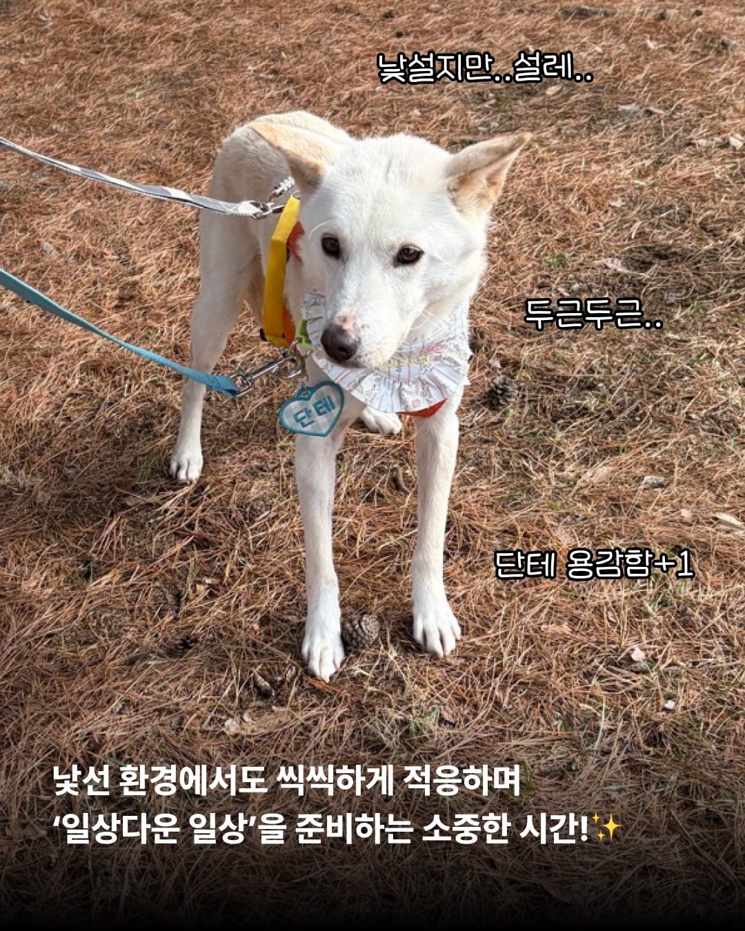 상세 사진 3