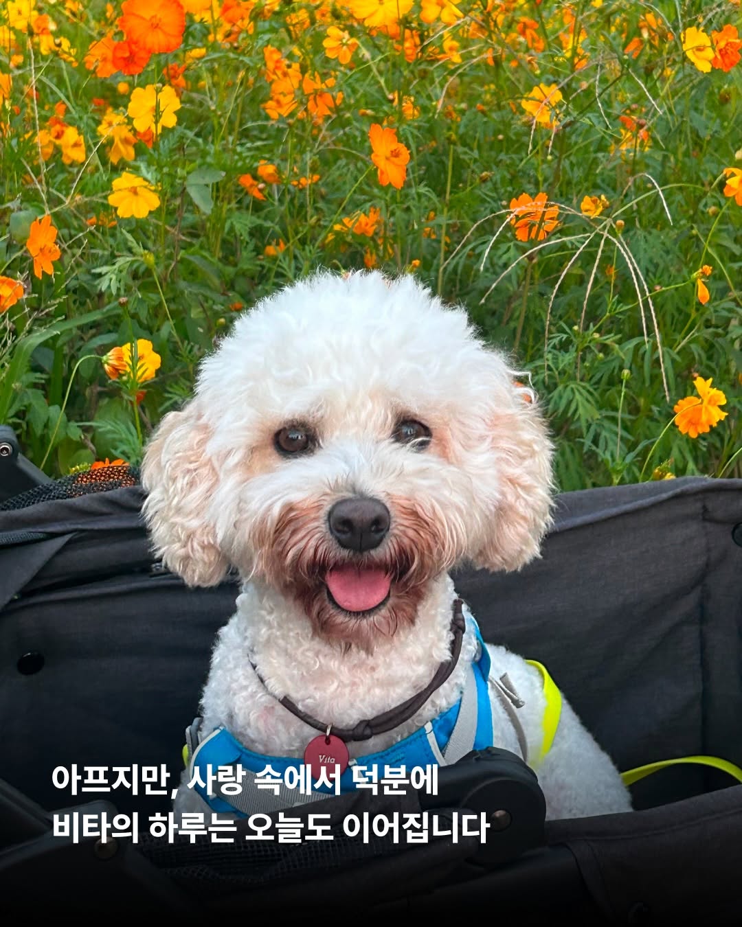 상세 사진 10