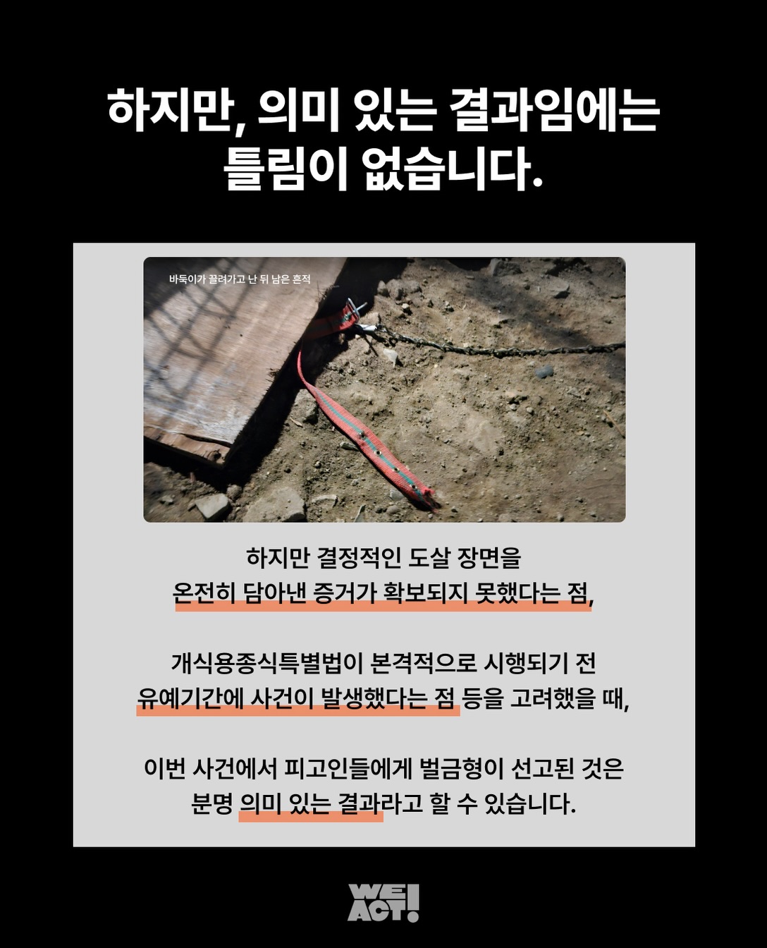 상세 사진 5