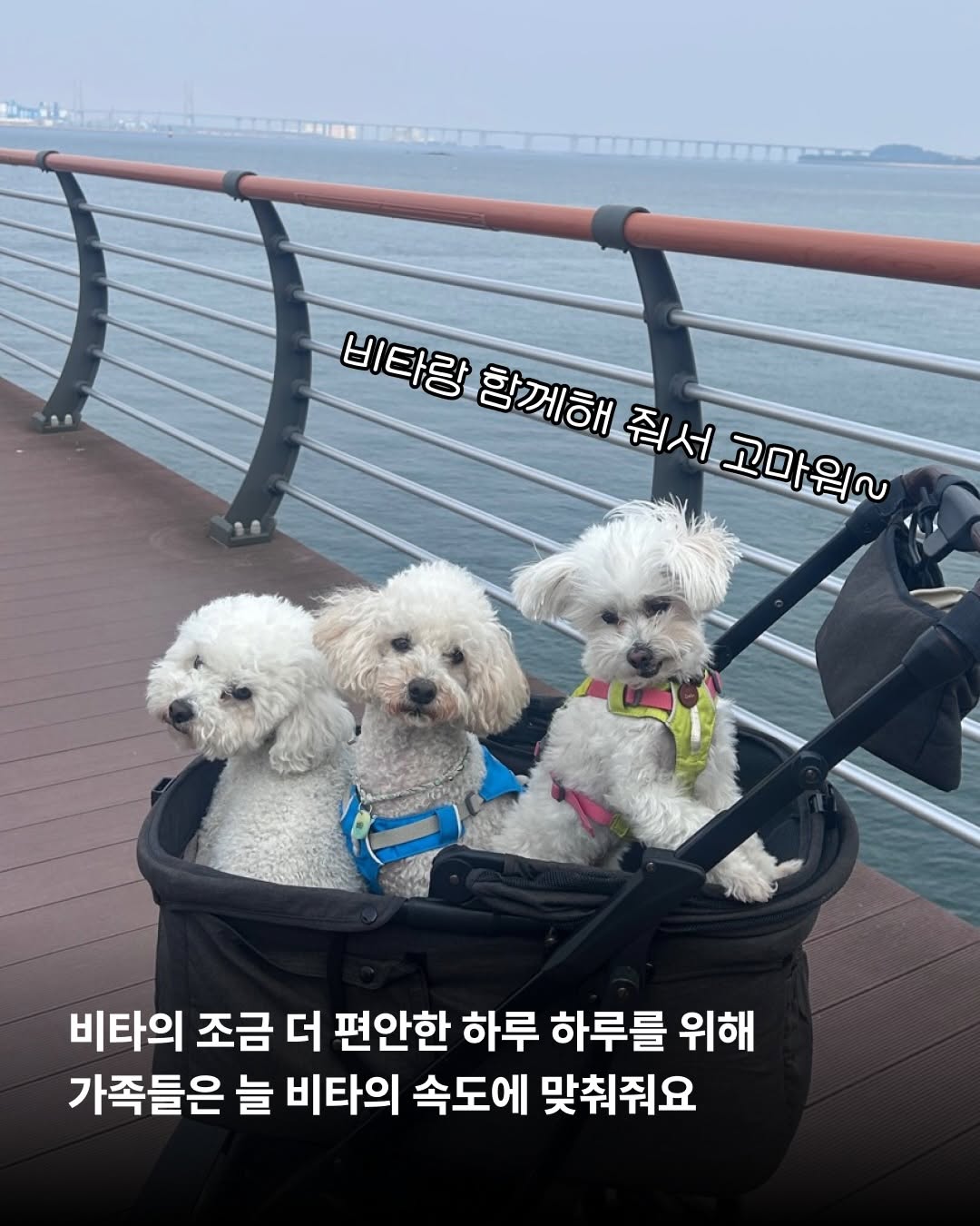 상세 사진 8