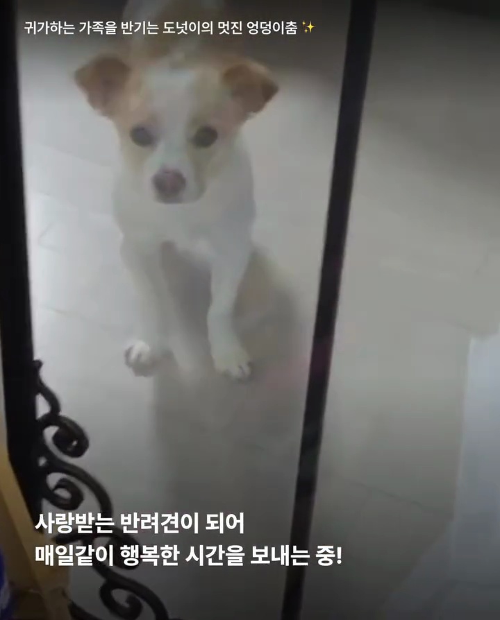 상세 사진 6