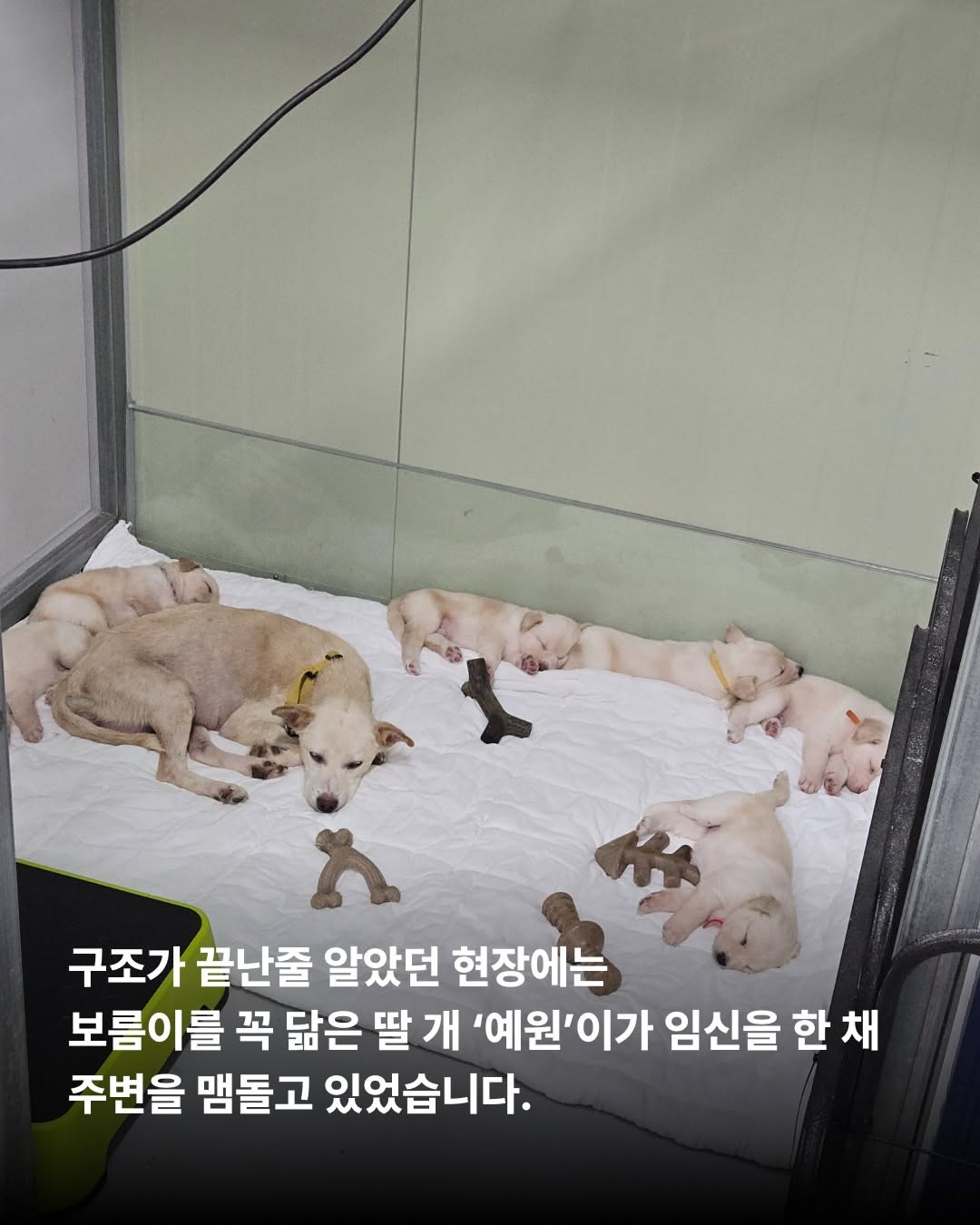 상세 사진 7
