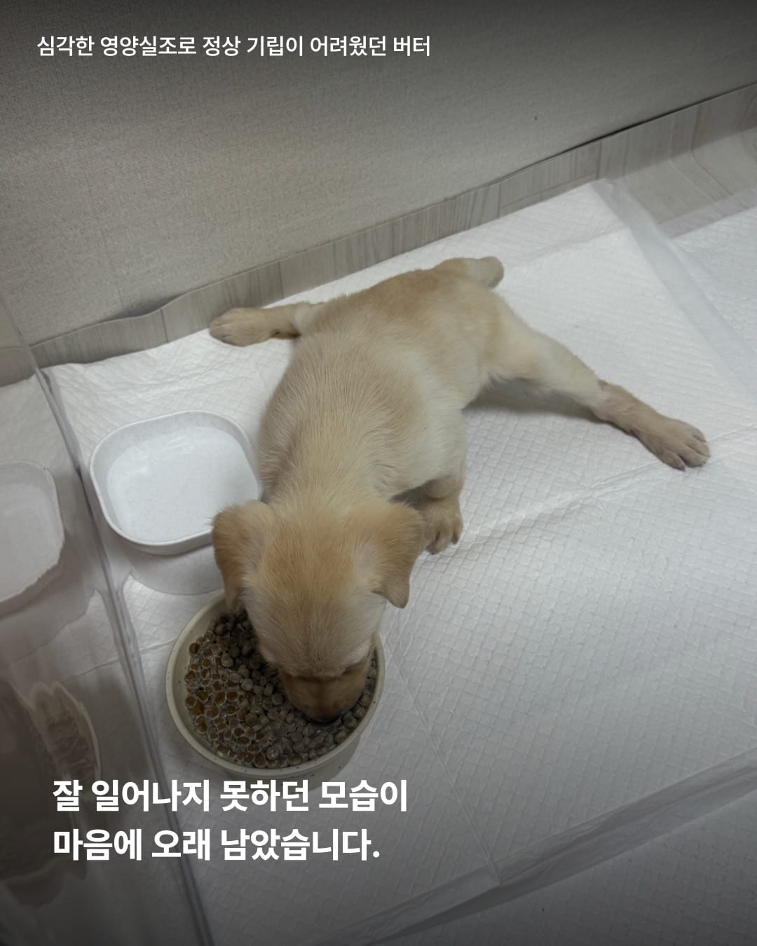 상세 사진 8