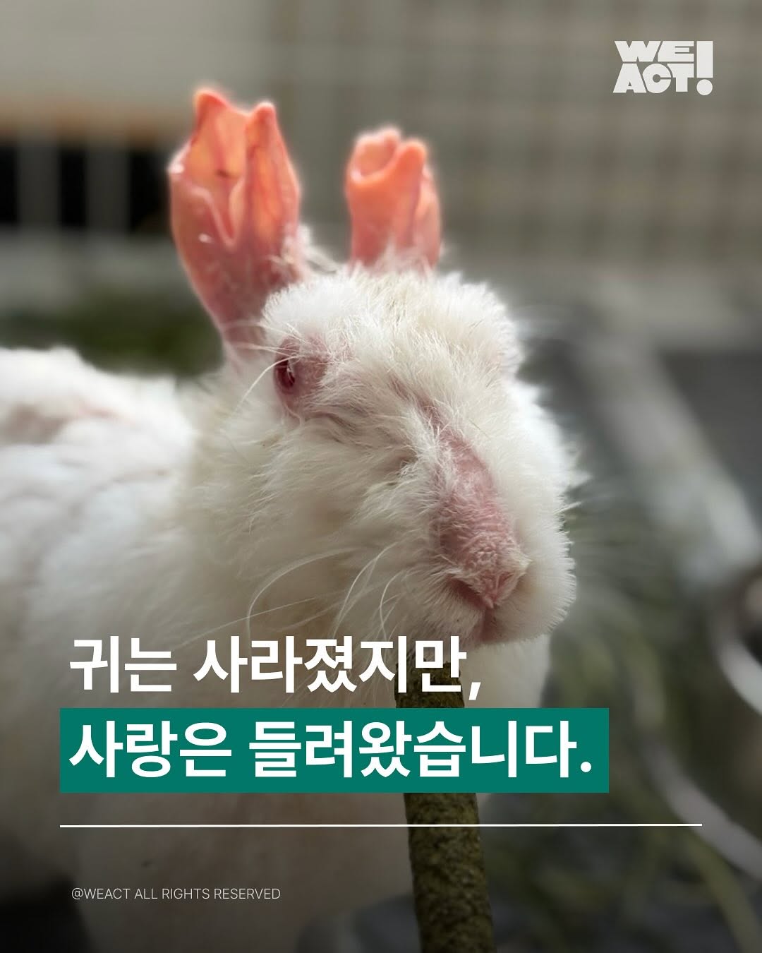 상세 사진 1