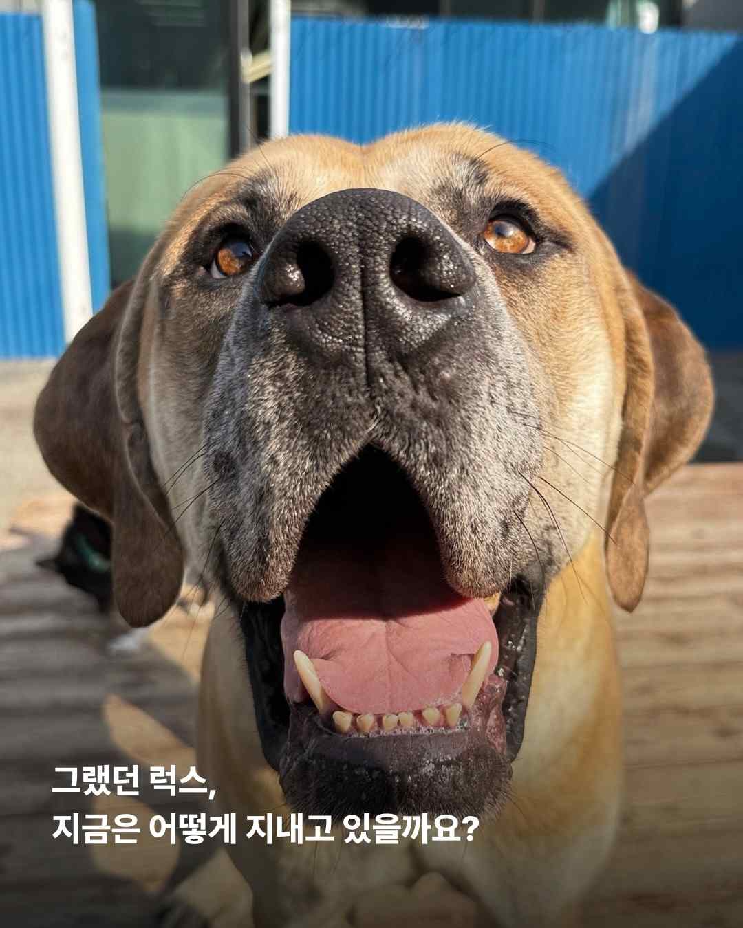 상세 사진 4