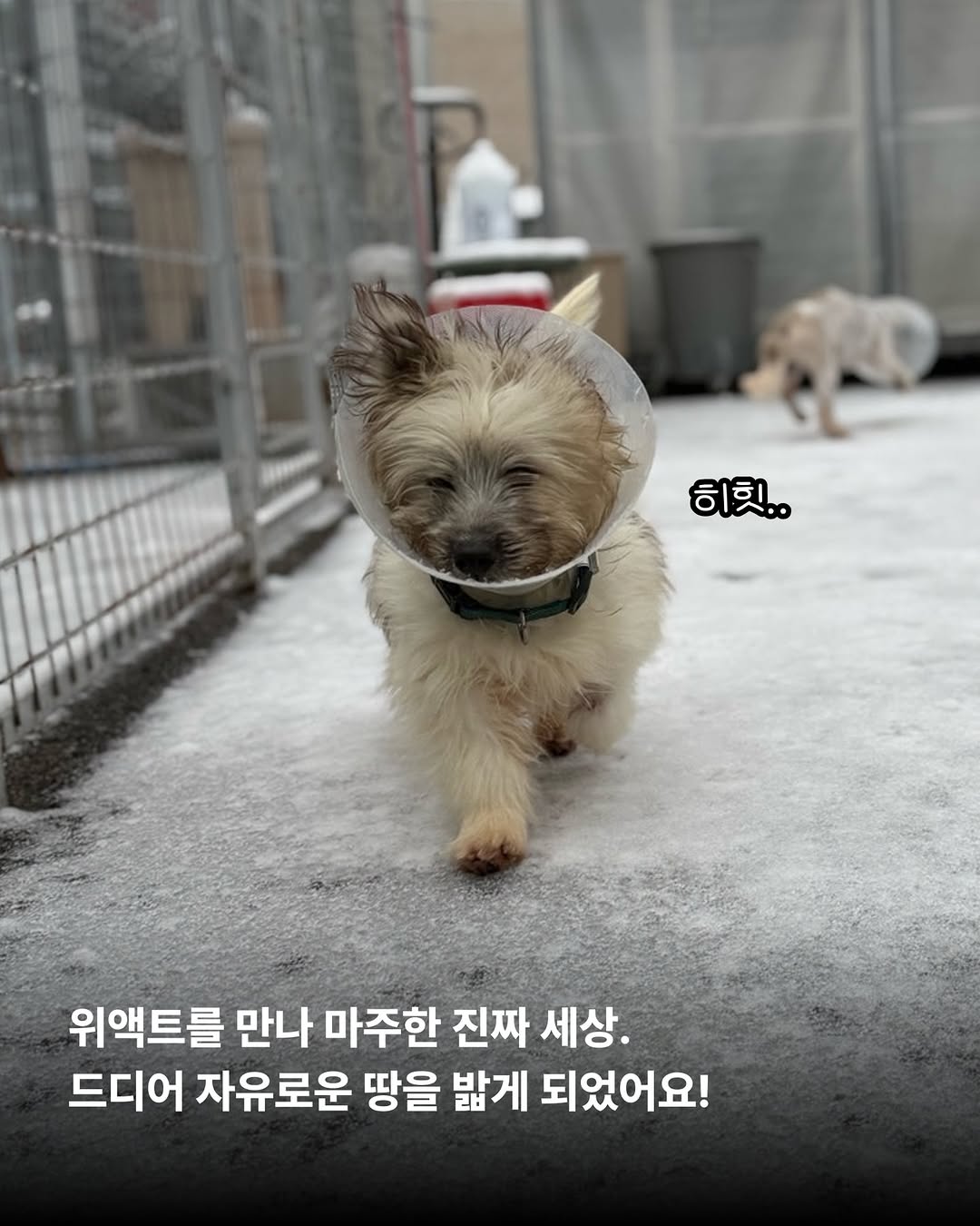 상세 사진 6