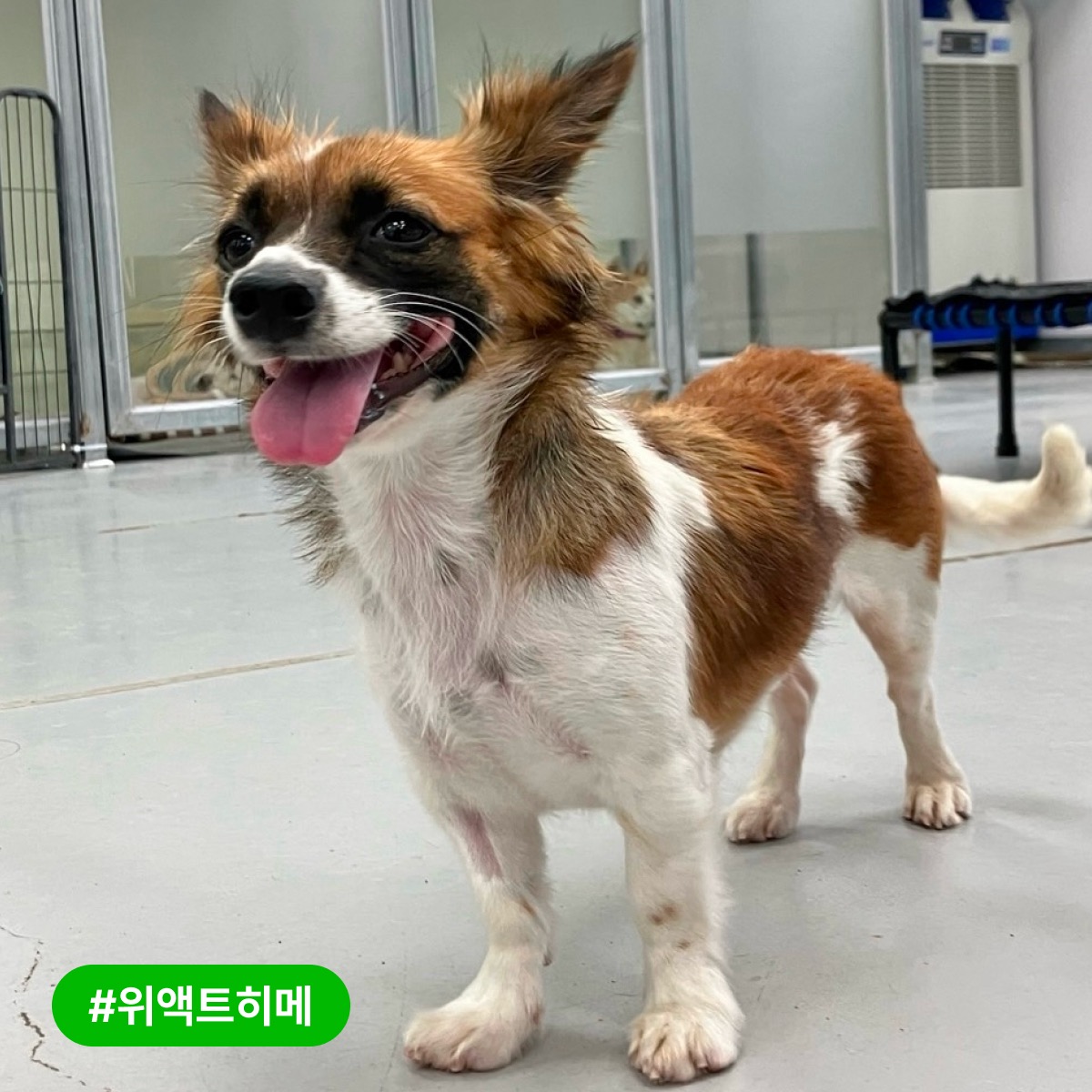 상세 사진 2