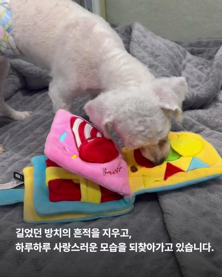 상세 사진 6