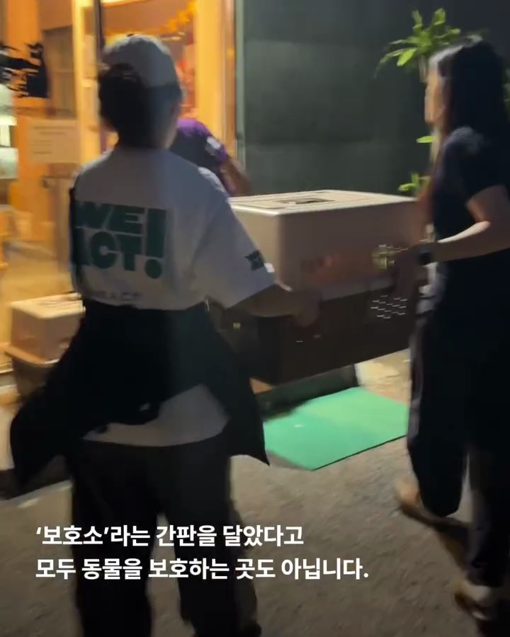 상세 사진 17