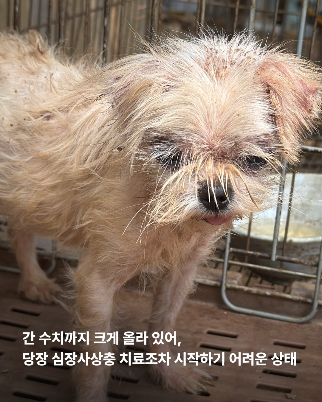 상세 사진 9
