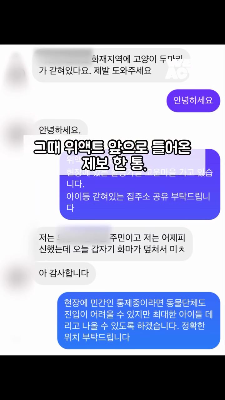 상세 사진 7