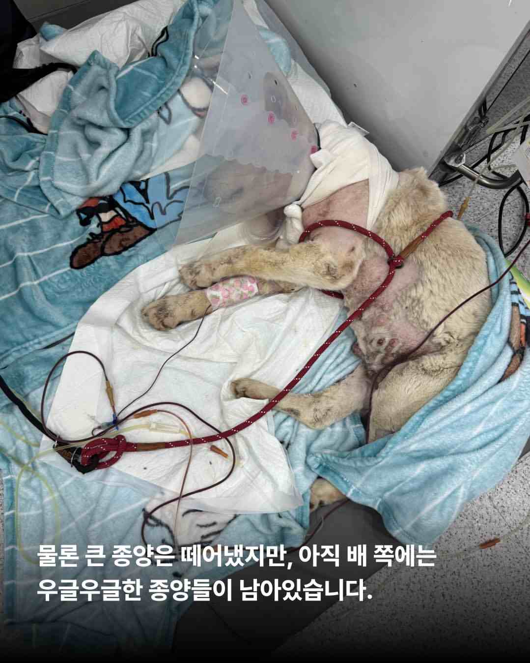 상세 사진 7