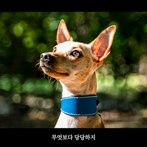 상세 사진 1