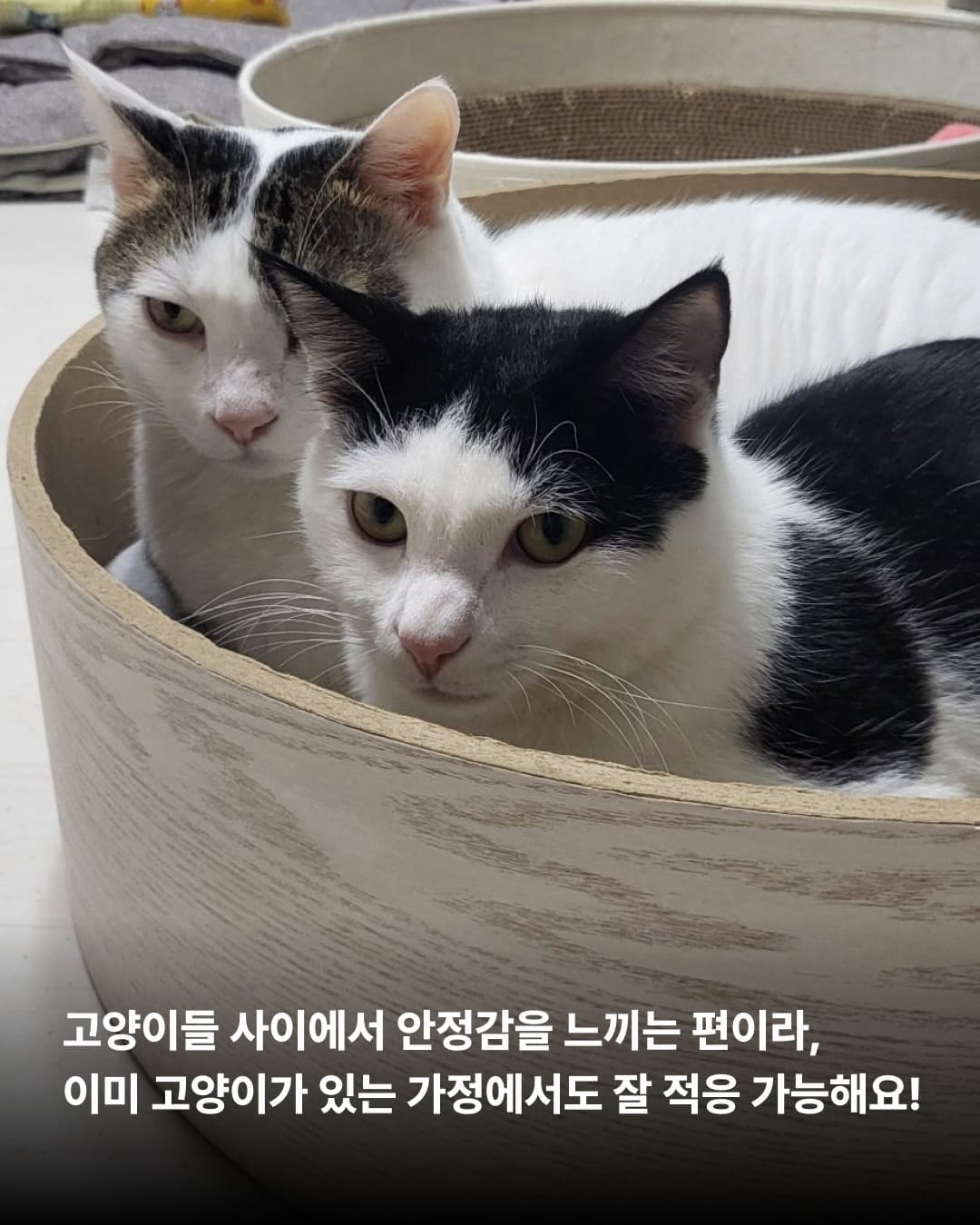 상세 사진 9