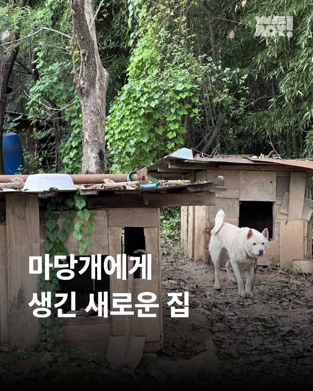 상세 사진 1
