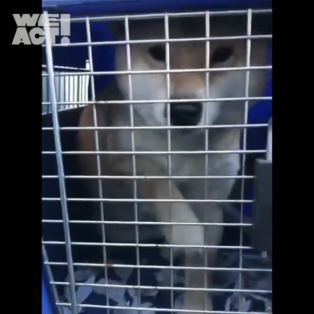 상세 사진 8