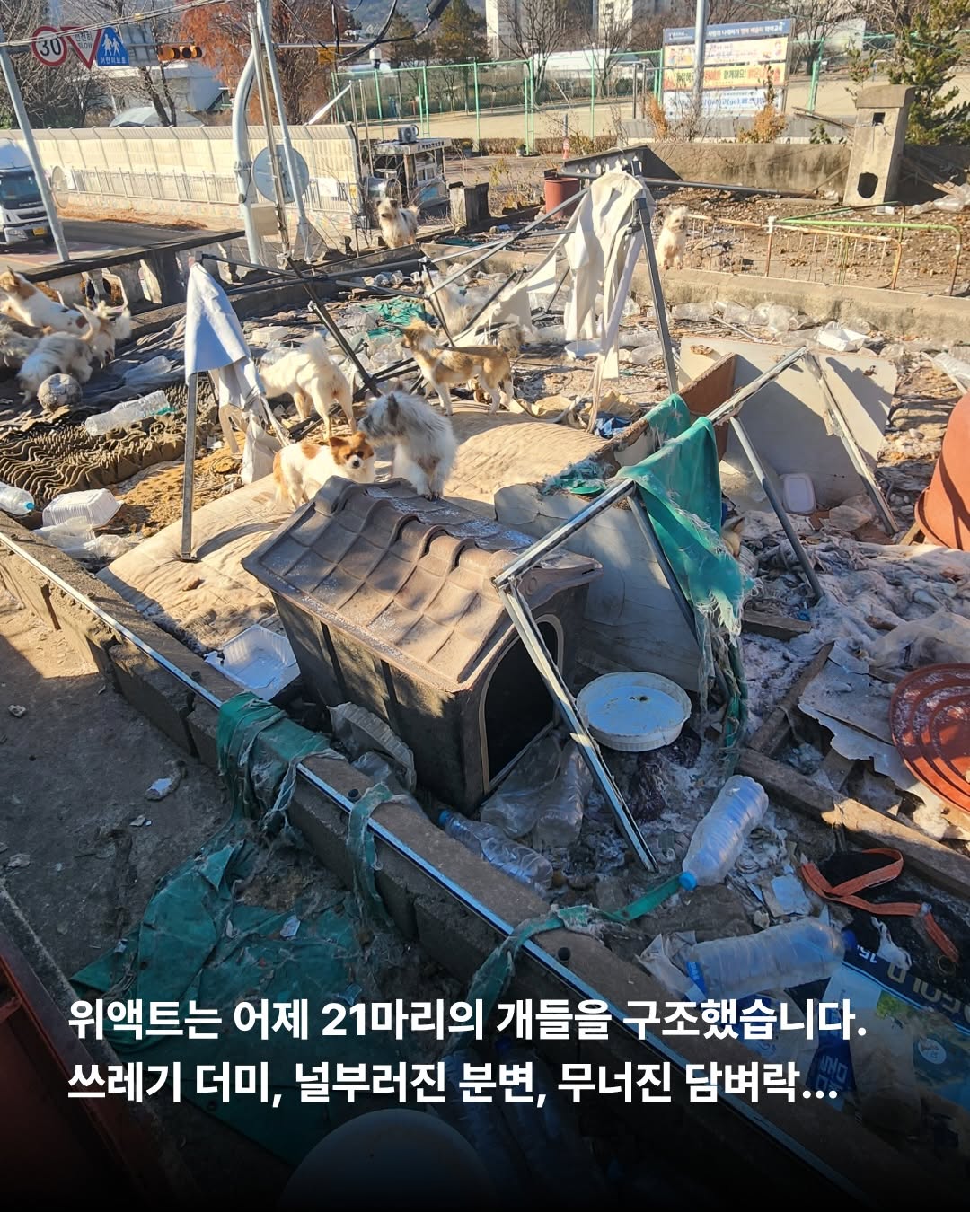 상세 사진 2
