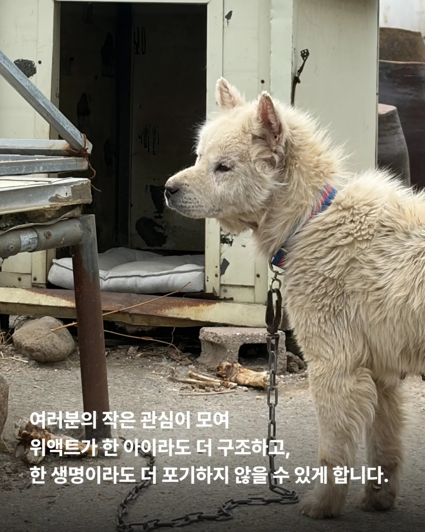 상세 사진 11