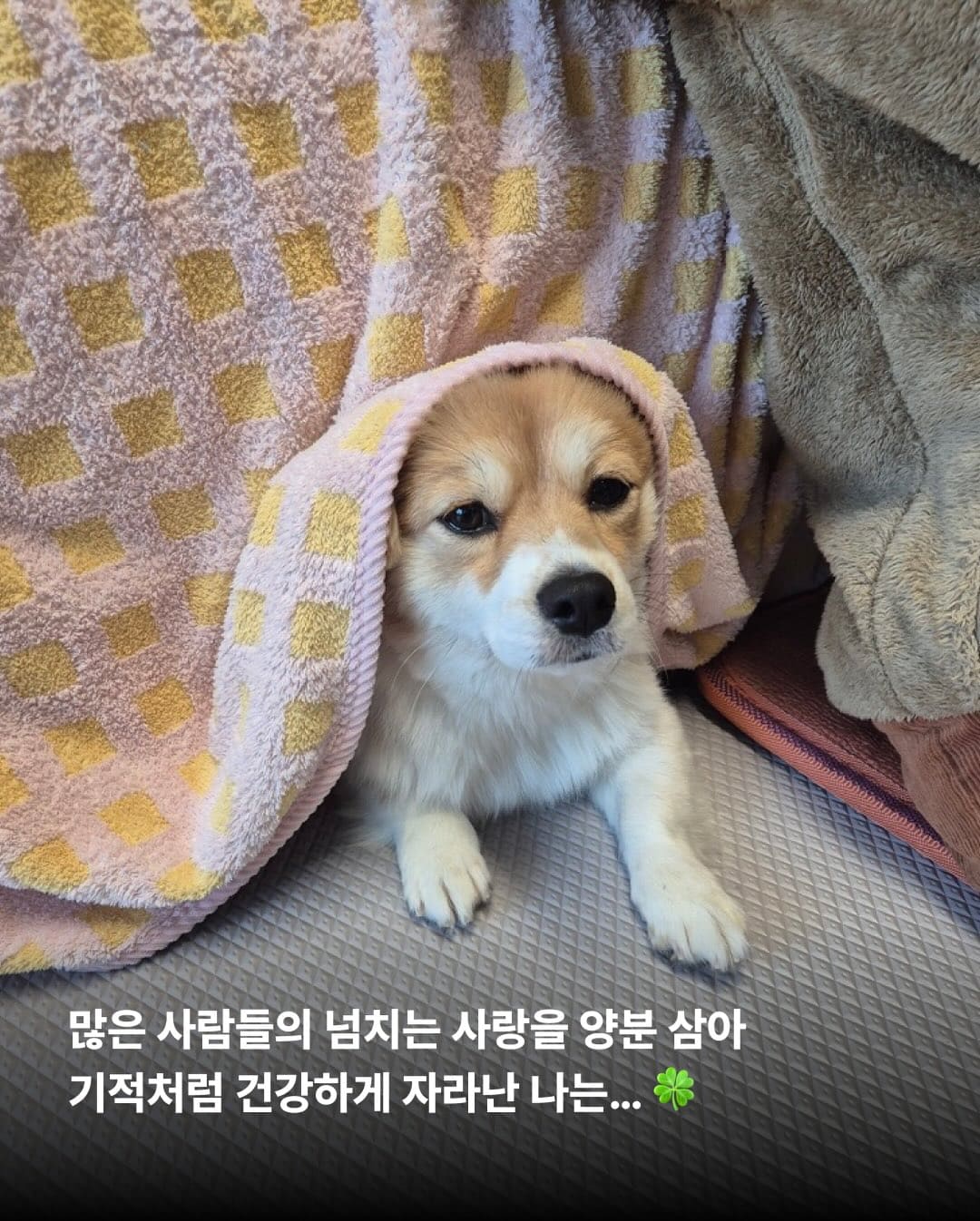 상세 사진 5