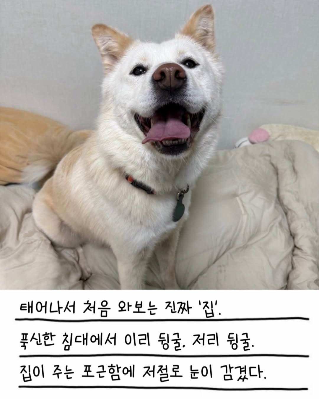 상세 사진 5