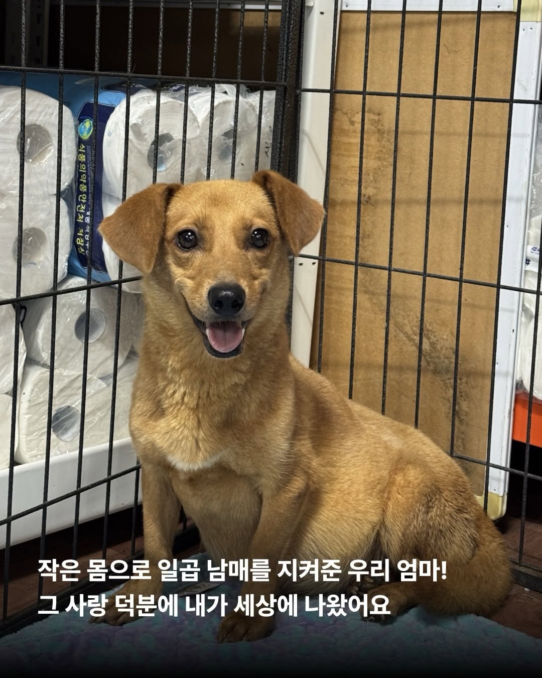 상세 사진 3