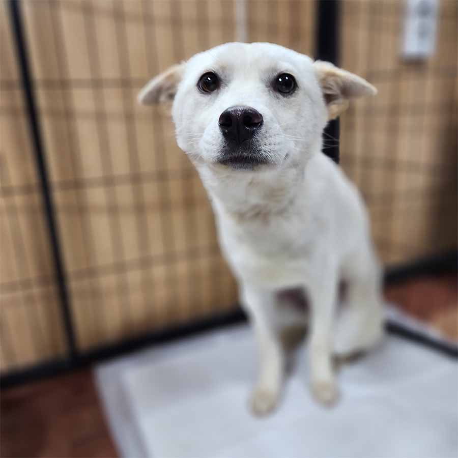상세 사진 1