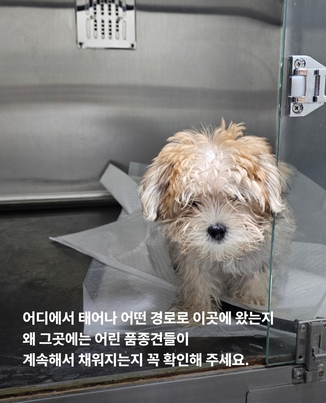 상세 사진 18