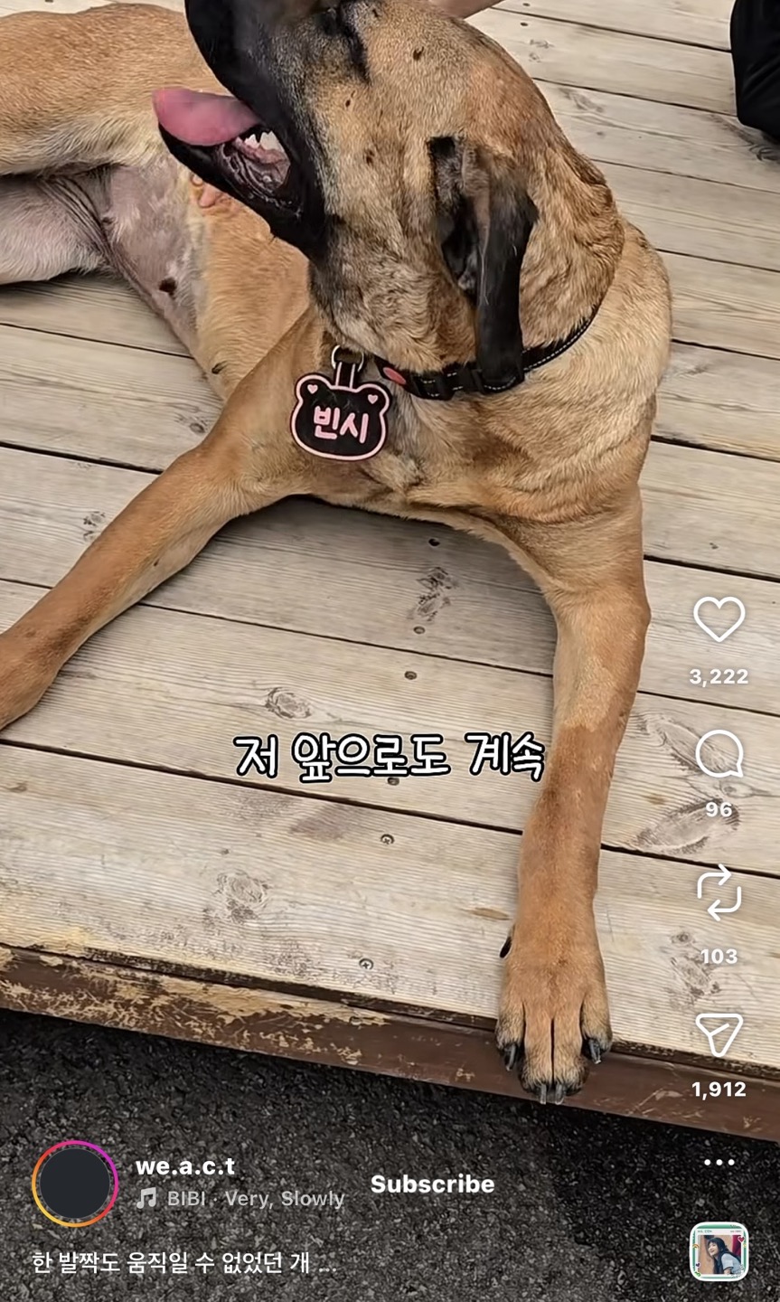 상세 사진 13