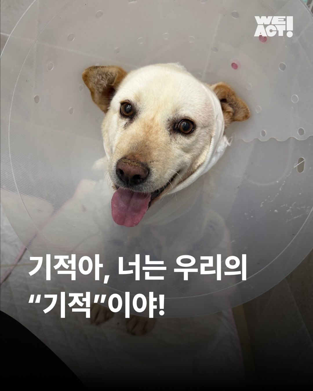상세 사진 1