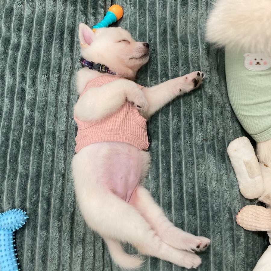 상세 사진 7