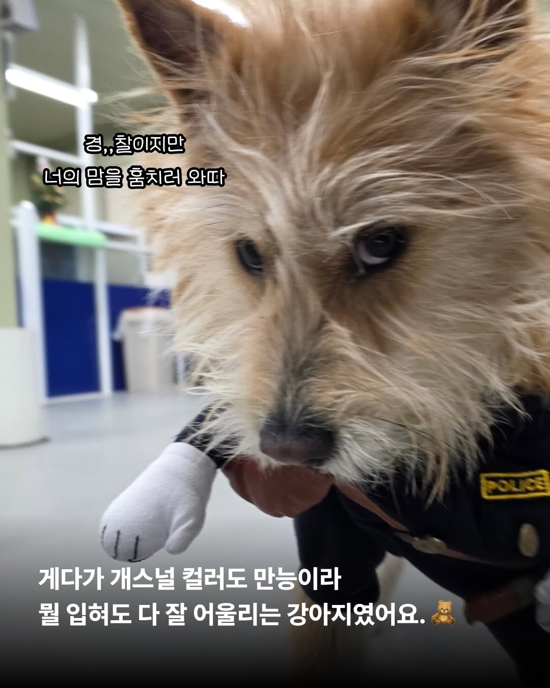 상세 사진 7