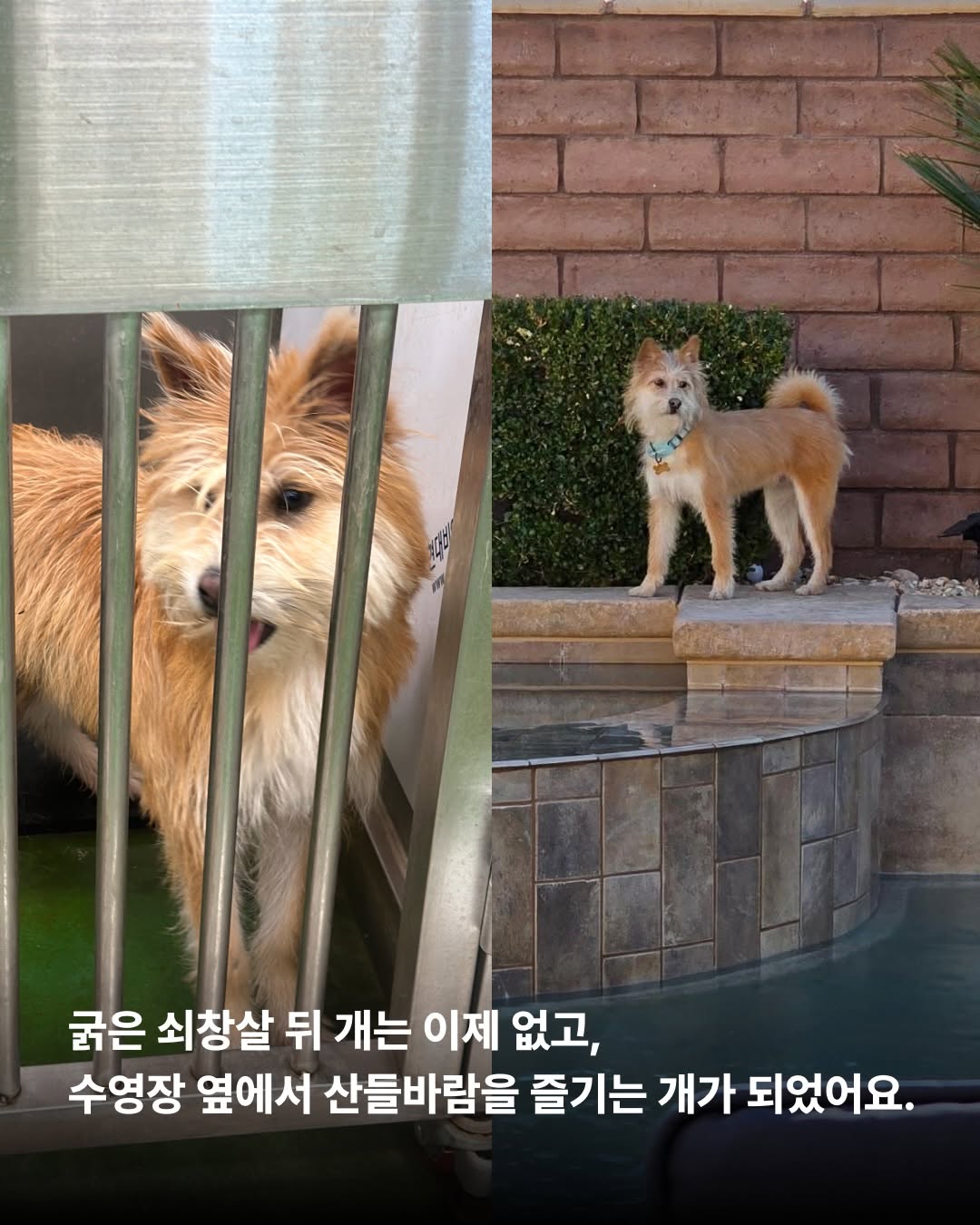 상세 사진 12