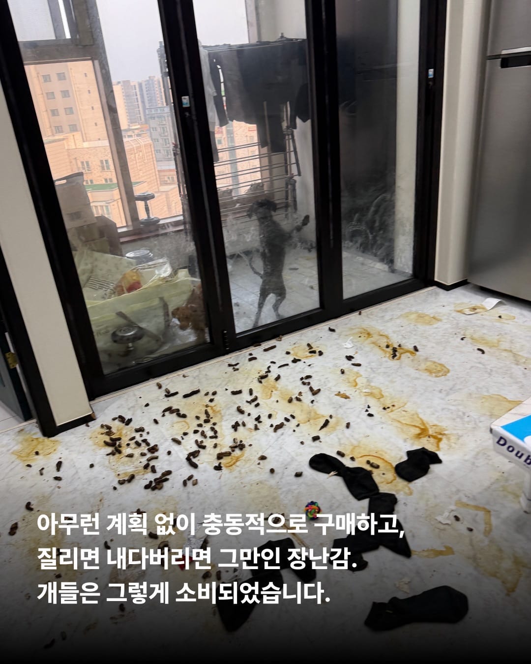 상세 사진 3