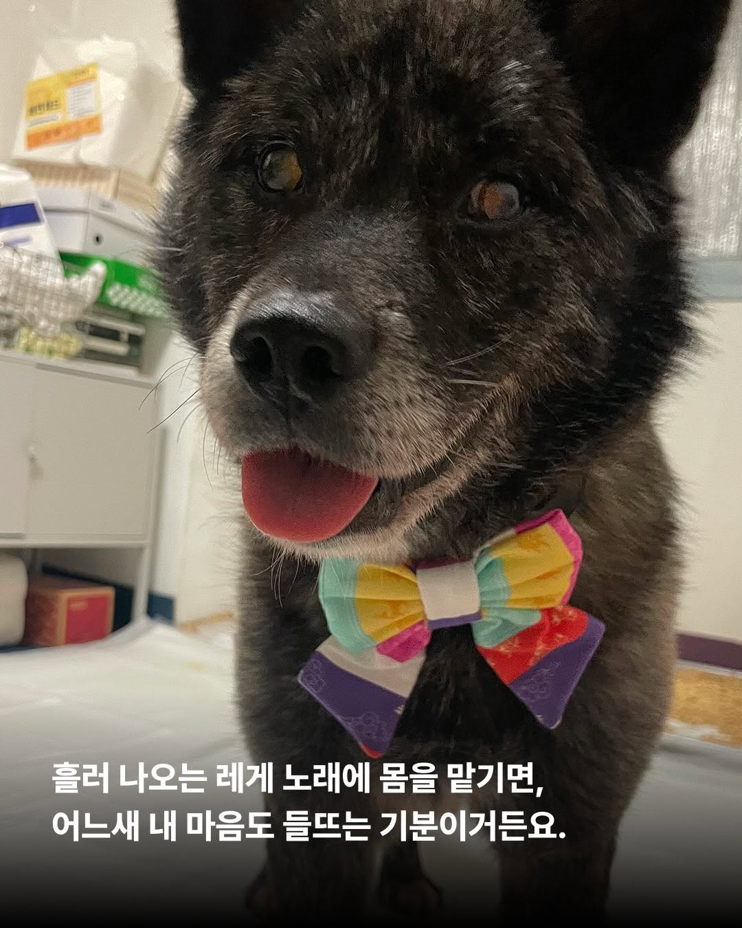 상세 사진 3