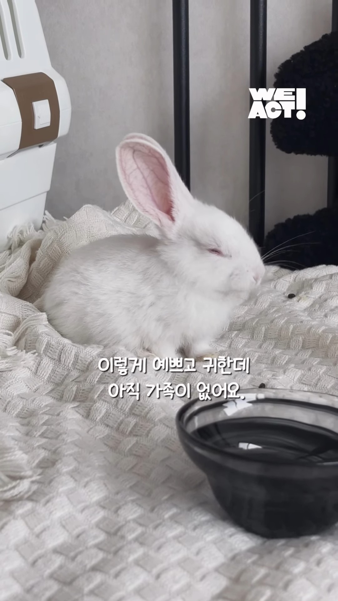 상세 사진 3
