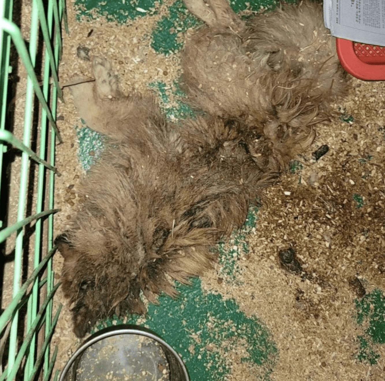 상세 사진 3
