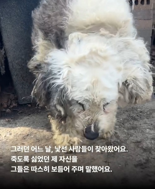 상세 사진 7