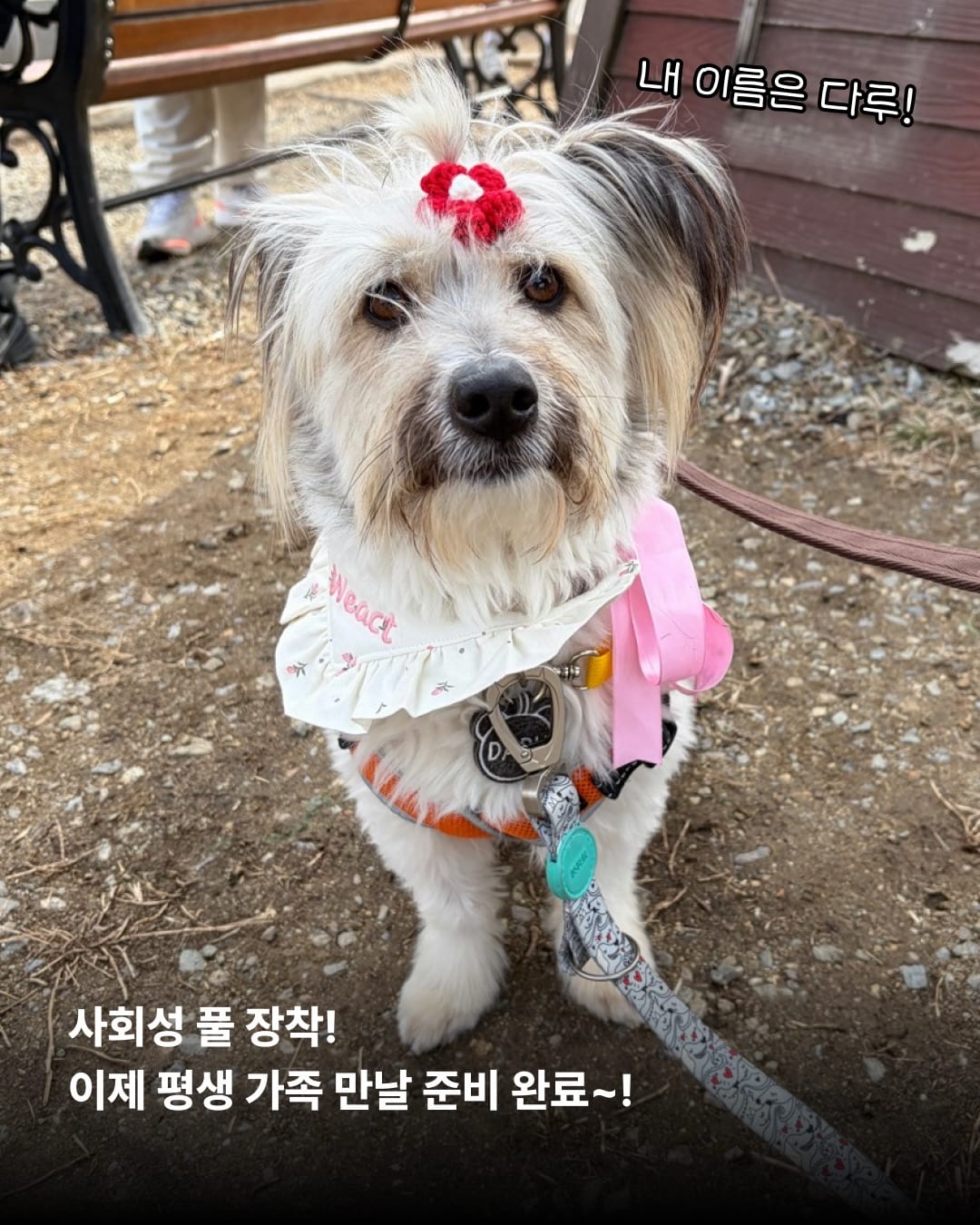 상세 사진 17
