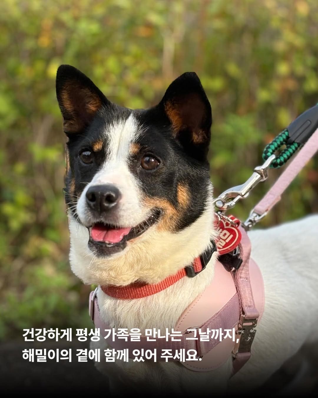 상세 사진 9