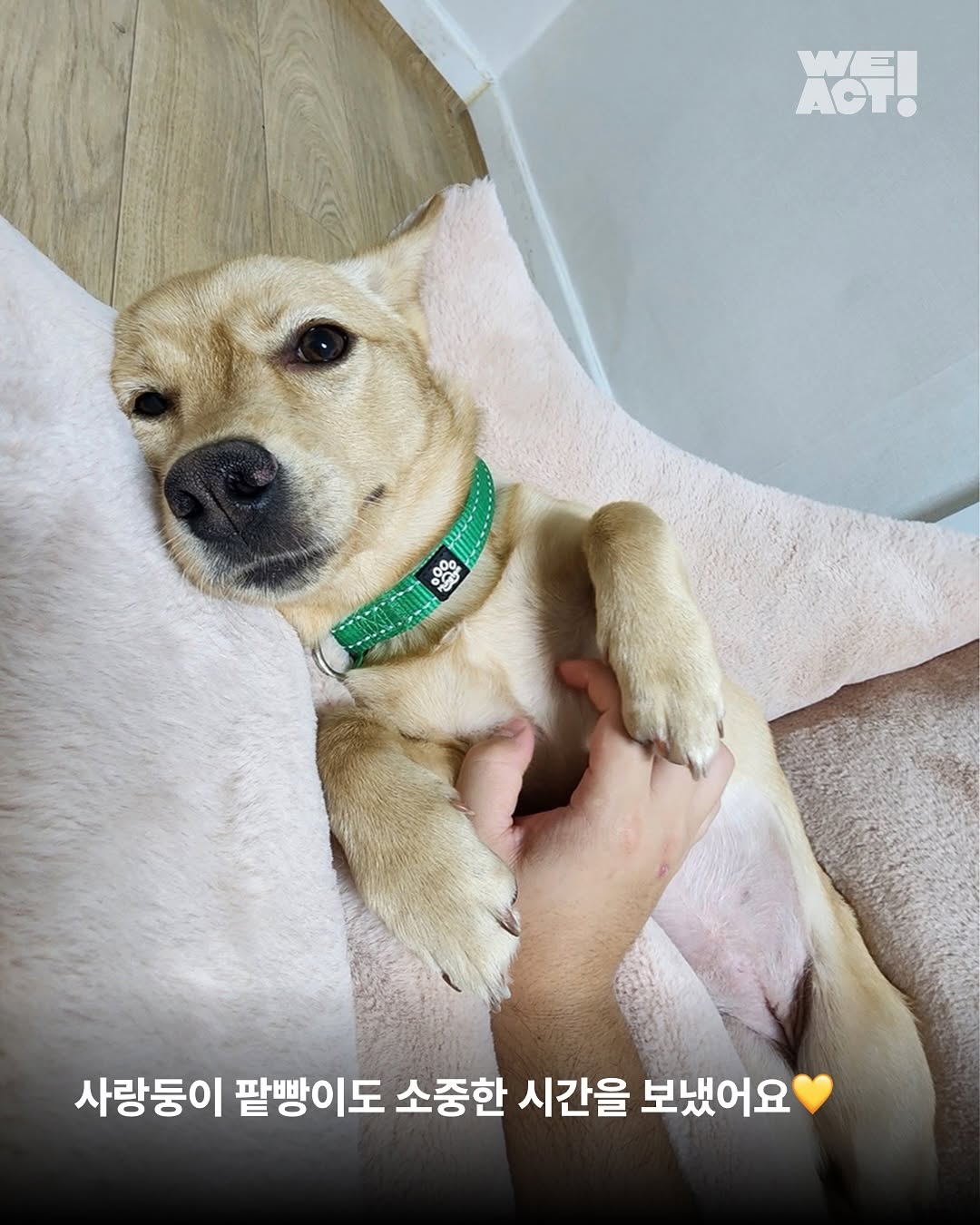 상세 사진 5