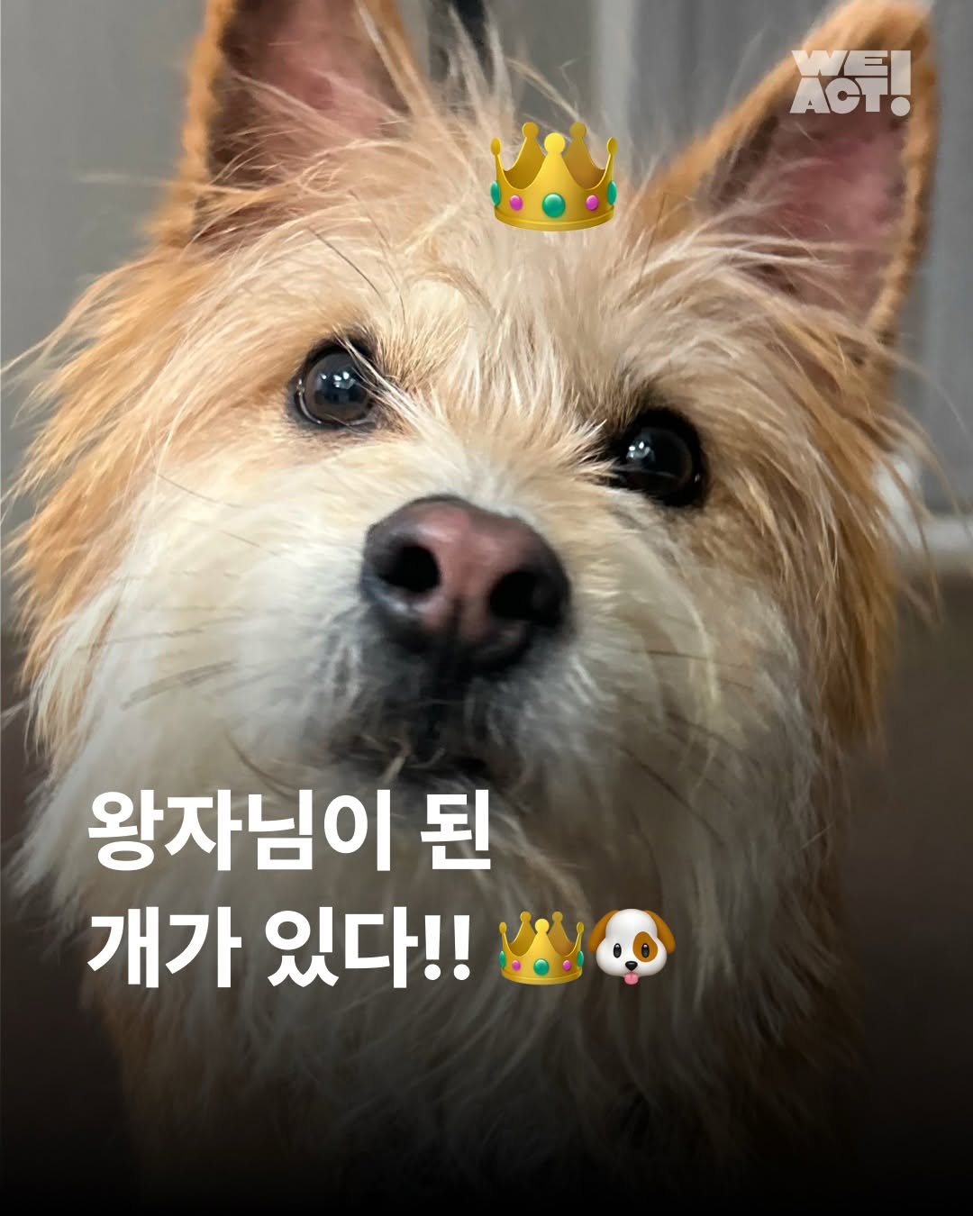 상세 사진 1