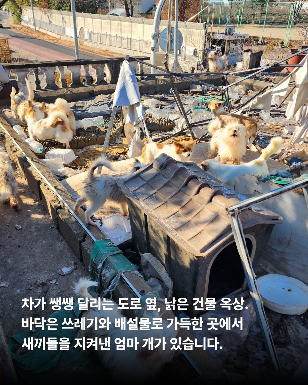 상세 사진 2