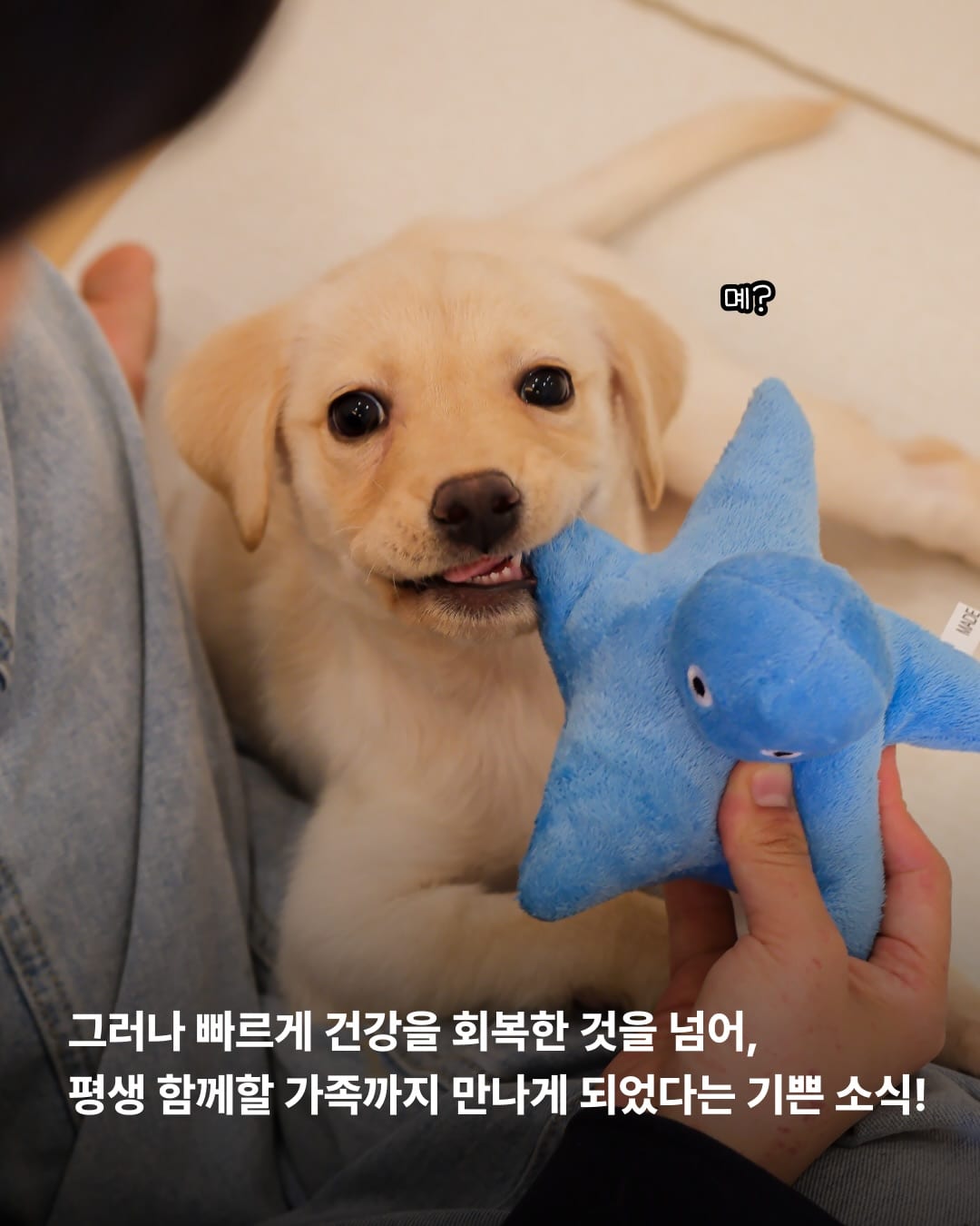 상세 사진 3