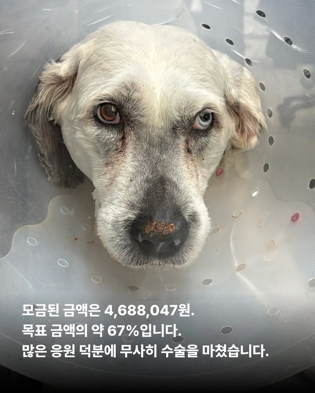 상세 사진 3