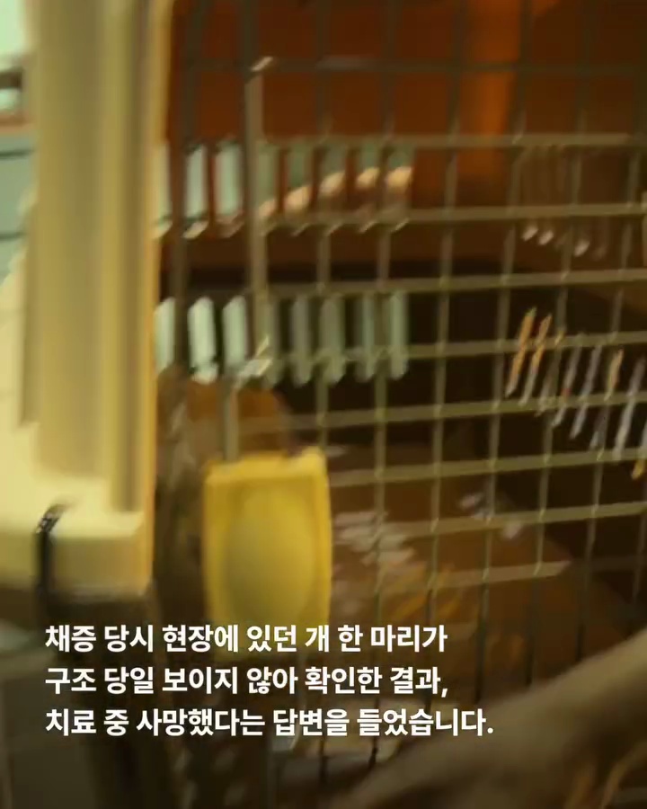 상세 사진 6