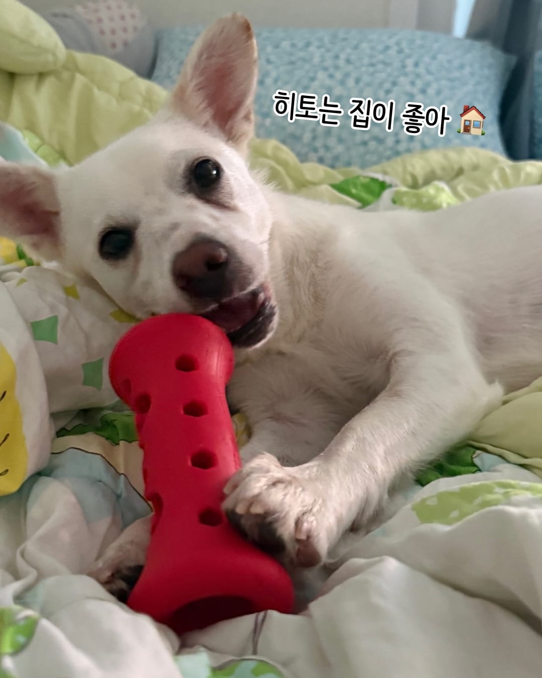 상세 사진 7