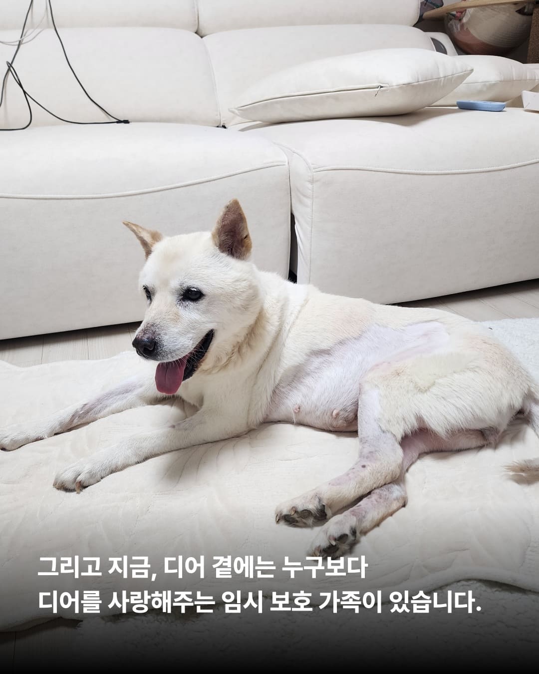 상세 사진 3